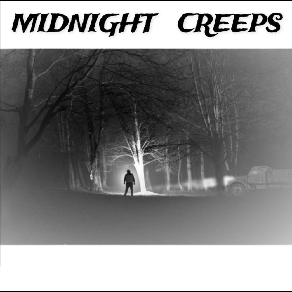 25 10X13 Midnight Creeps Poly Mailers PRICE FIRM Fall - Picture 5 of 15